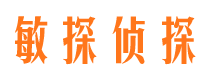 贵南市侦探调查公司